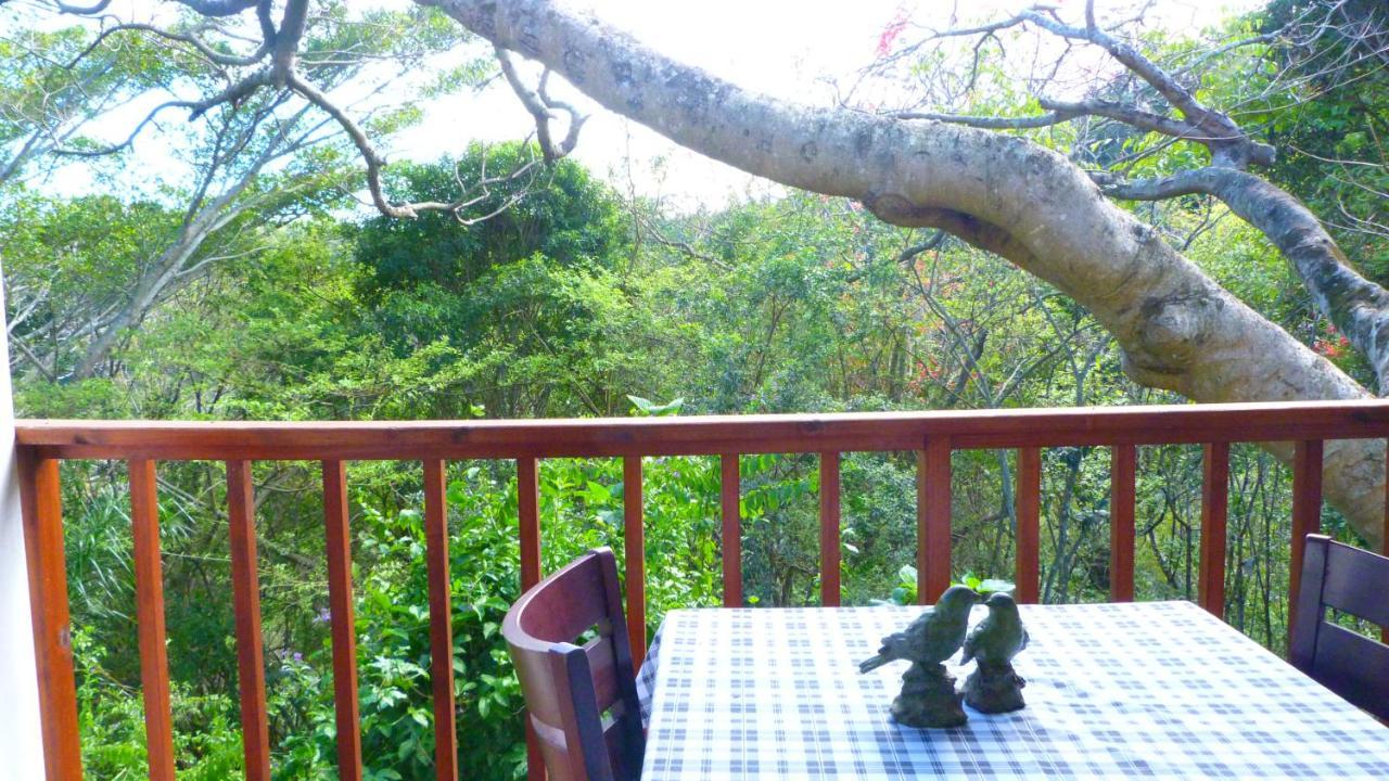 Royston Hall Historical Guesthouse Umtentweni Eksteriør bilde